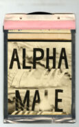 Corey Escoto | Alpha Male 2