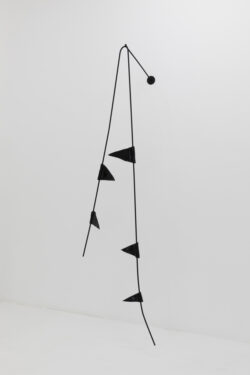 Lisa Seebach